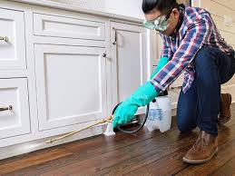 Best Pest Prevention Services  in Coushatta, LA